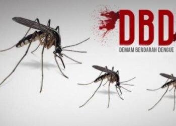 Lima Warga Mukomuko Positif DBD