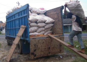 Sejumlah petani di Lampung Selatan menjual jagung gelondongan, Rabu, 3 Maret 2021. (Lampost.co/Aan Kridolaksono)