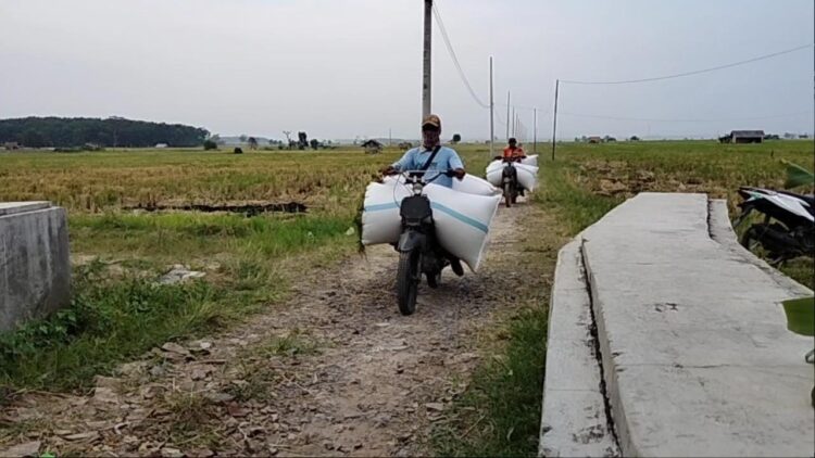 ojek pengangkut gabah