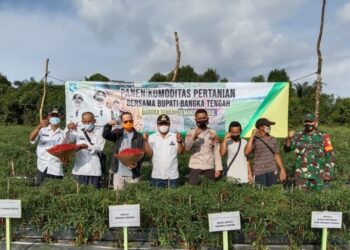 Maksimalkan Pertanian Perkotaan