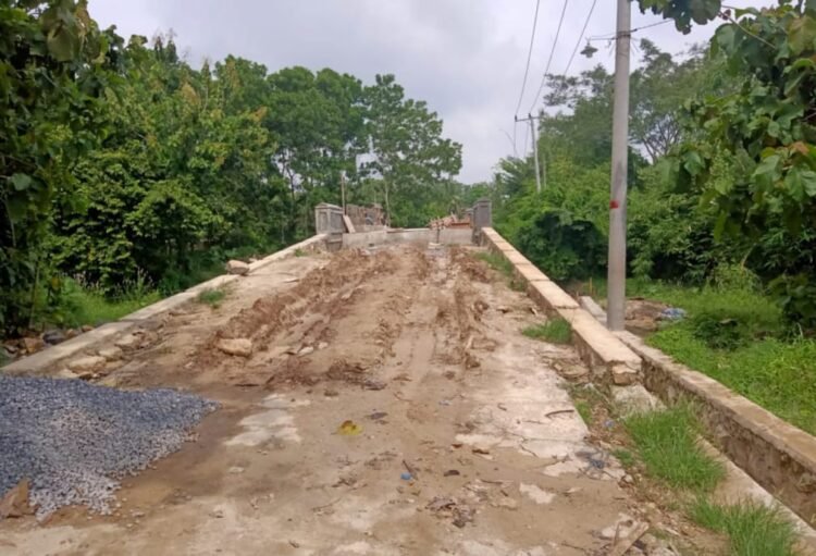 jembatan Desa Way Sari