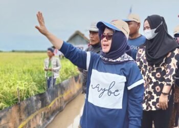 Ketua DPRD Mesuji Elfianah turun langsung bersama masyarakat Mesuji.(Istimewa)