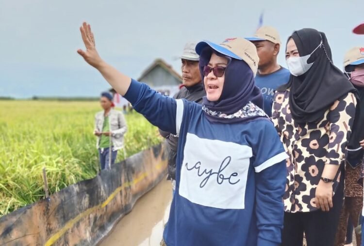 Ketua DPRD Mesuji Elfianah turun langsung bersama masyarakat Mesuji.(Istimewa)