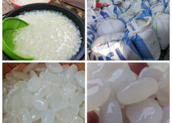 Perajin kolang-kaling banyak diminati saat Ramadan. (LAMPUNG POST)