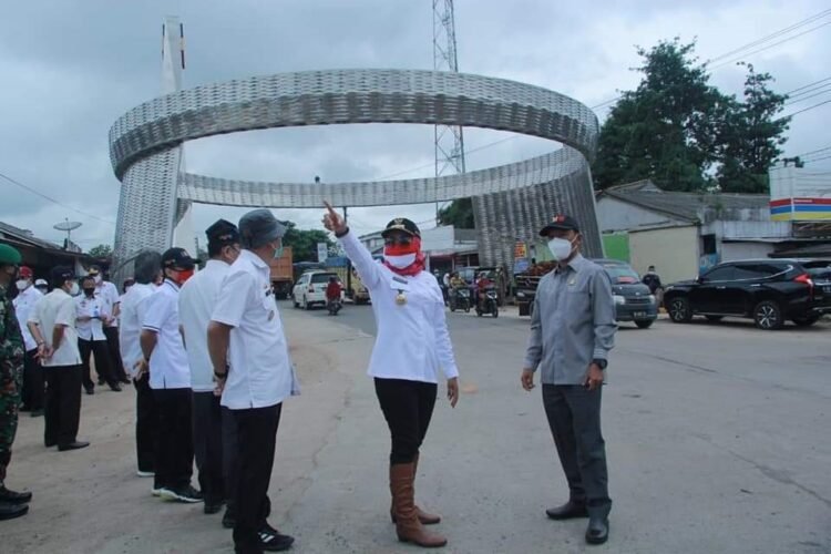 Bupati Tulangbawang Winarti melaksanakan tugasnya sebagai kepala daerah.(Istimewa)