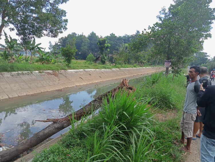 BALAI Besar Wilayah Sungai (BBWS) Mesuji-Sekampung melakukan langkah-langkah antisipasi untuk menjaga kelancaran irigasi di musim kering.Dok/LampungPost.id