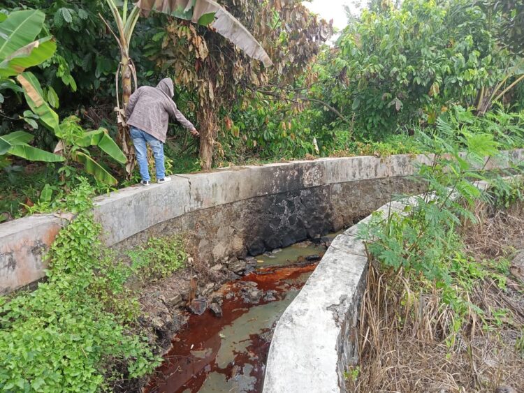 Pujoasri Renovasi Irigasi Pertanian