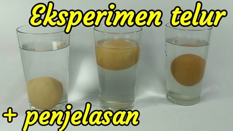 Percobaan berat jenis dengan telur dan air garam. (DOK)