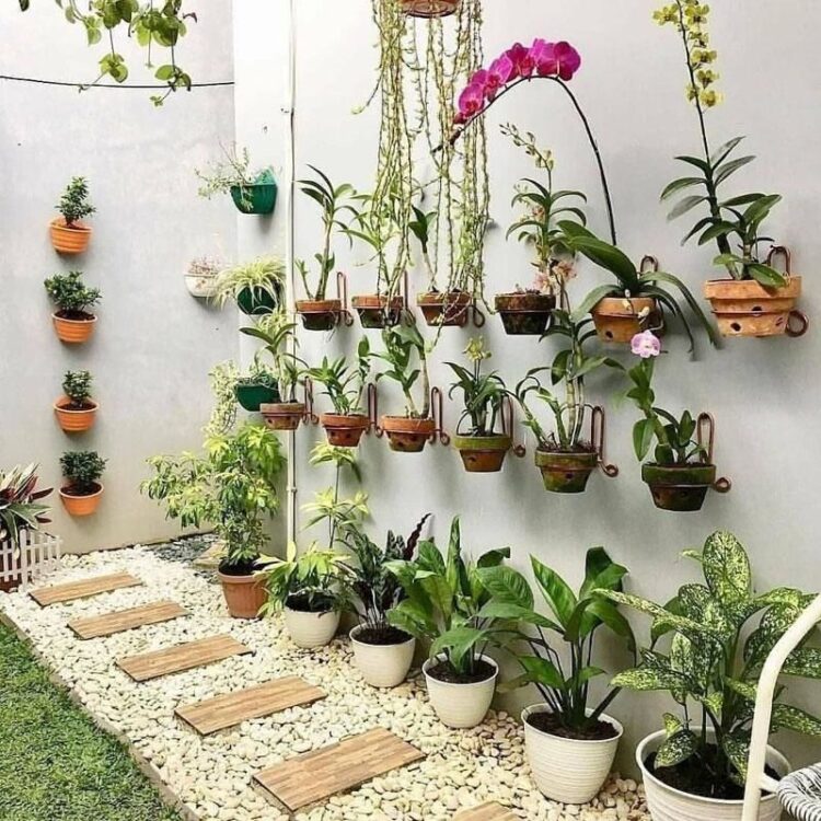 Taman mungil di ruang terbatas. (DOK)