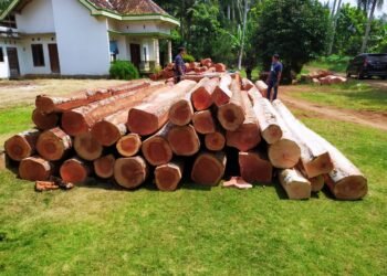 Babinsa Bekuk Pengangkut Kayu Ilegal