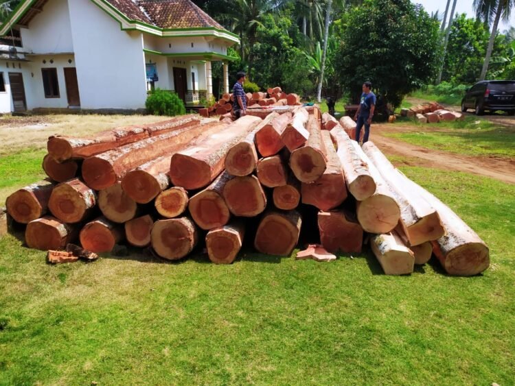Babinsa Bekuk Pengangkut Kayu Ilegal