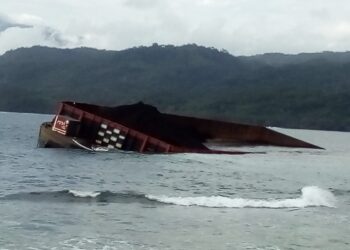 Larangan Ekspor Batu Bara untuk Kemakmuran Rakyat