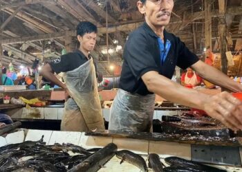 masyarakat palembang