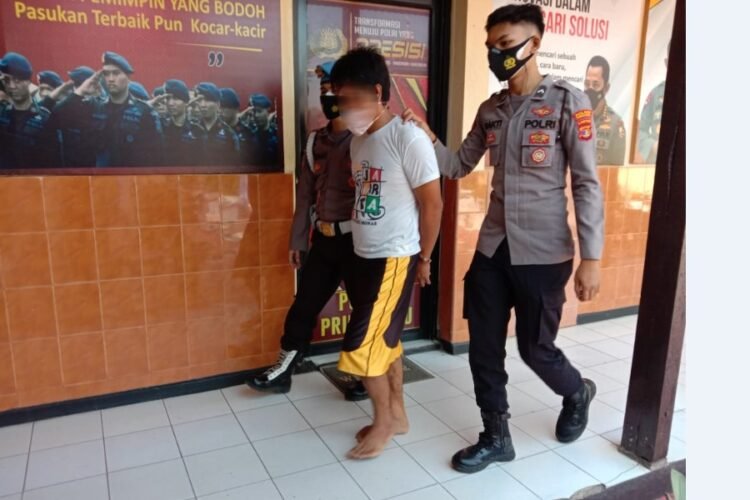 pesta sabu