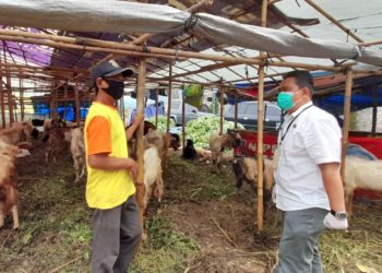 Program Peternakan BUMDesma Dukung Pangan Nasional