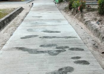 Negararatu Target Bangun Jalan Tiap Pencaian DD