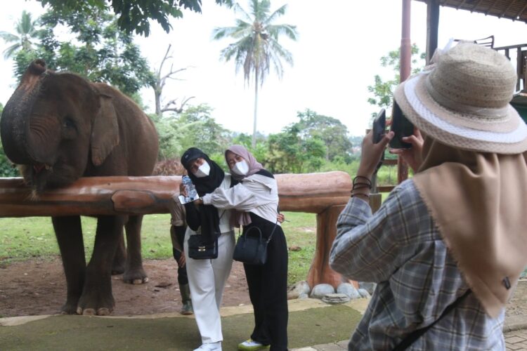 KUNJUNGI TEMPAT WISATA. Pengunjung sedang berswafoto dengan gajah saat menikmati liburan di Taman Lembah Hijau Bandar Lampung, Minggu (26/9). Setelah PPKM berakhir, banyak masyarakat yang mulai memadati tempat wisata, khususnya di akhir pekan. n LAMPUNG POST/SUKISNO