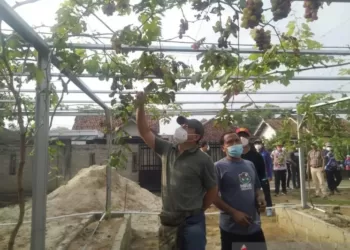 Kelola Lahan Tidur Jadi Destinasi Wisata Buatan