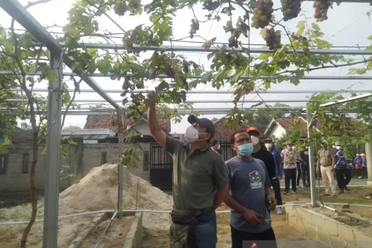 Kelola Lahan Tidur Jadi Destinasi Wisata Buatan