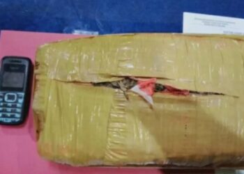 Distribusi 30 kg ganja di Pelabuhan Tanjungkalian gagal. Foto : Antara