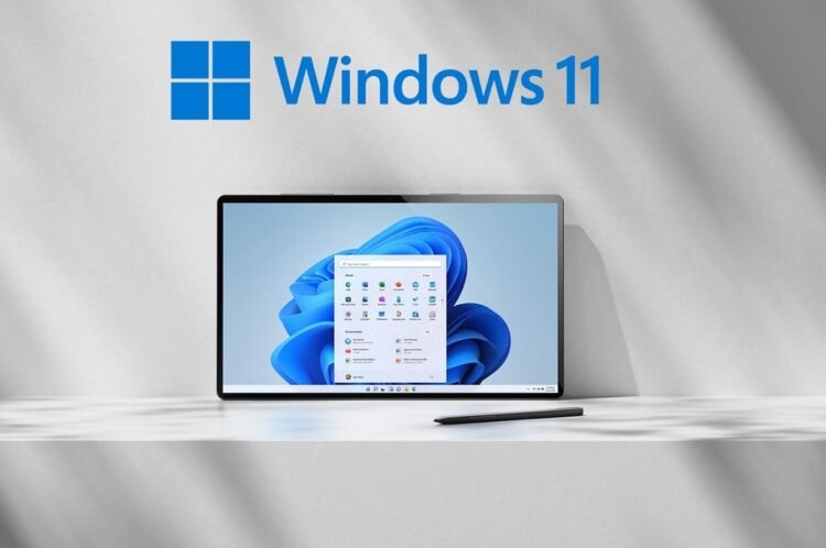 windows 11