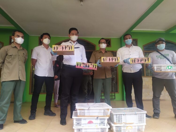 2.400 burung tanpa dokumen digagalkan. Lampung Post/ Asrul Septian