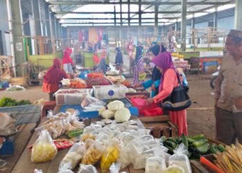 Mentan Ingatkan Krisis Pangan makin Dekat