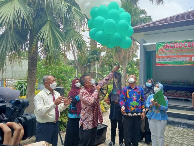 agro ceria