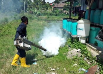 empat kasus dbd baru