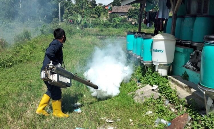 empat kasus dbd baru