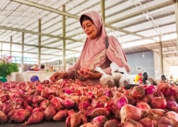 Satgas Pangan Awasi Distribusi Bahan Pokok