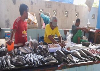 Kementerian BUMN Jamin Pasokan BBM untuk Nelayan