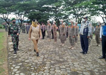 sinergisitas penting