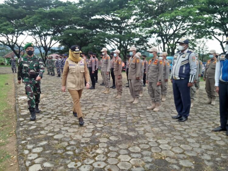 sinergisitas penting