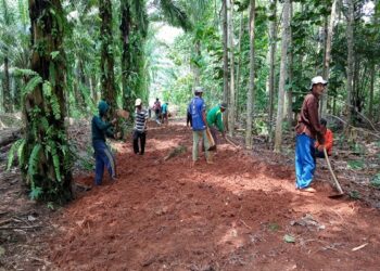 DD Pekon Bandungbaru