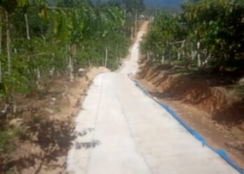 Pemkab Lamsel Perbaiki Jalan di Desa Pemanggilan