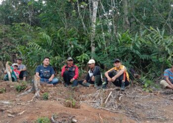 kelompok gajah jambul