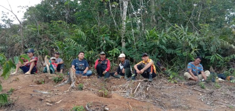 kelompok gajah jambul