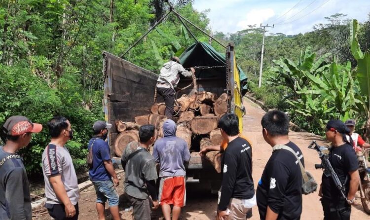 Truk Terlibat Kecelakaan Gagal Bawa Kayu Ilegal
