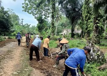 Pemkab Lamsel Bangun TBT di Desa-desa