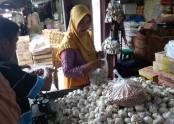 harga bawang di