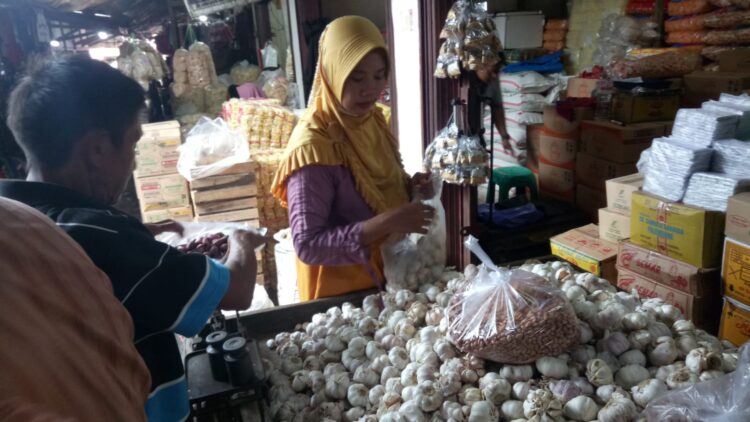 harga bawang di