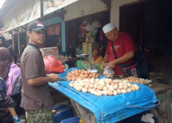 Harga Daging dan Telur Ayam Kompak Naik
