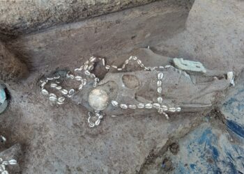 Makam tua akhir Dinasti Shang (1600—1046 SM) baru-baru ini ditemukan di Desa Shaojiapeng, Kota Anyang, Provinsi Henan, Tiongkok Tengah. Anyang institute of cultural relics and archaeology/Handout via Xinhua