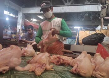 Daging ayam ras dari Rp37.800 menjadi Rp34.500/kg. Sementara telur ayam ras dari Rp21.600 menjadi Rp19.700/kg.