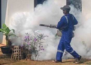 Kelurahan Gedong Pakuon Putus Penyebaran DBD