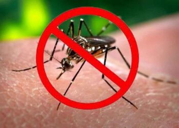 Jaga Lingkungan Rawalaut dari DBD