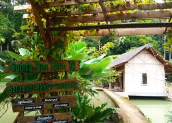 Suhita Bee Farm, di Jalan Batin Mangku Negara, Batu Putuk, Kec. Tlk. Betung Utara, Kota Bandar Lampung, Lampung.
Lampung Post/ Dian Wahyu Kusuma