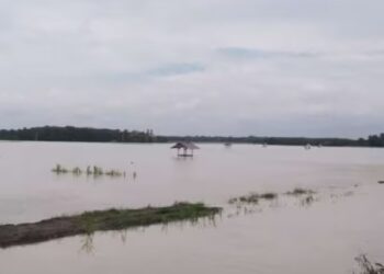 saluran irigasi dangkal