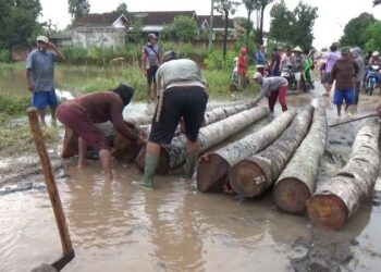 Pekon Kunyayan Gotong Royong Bangun Jalan